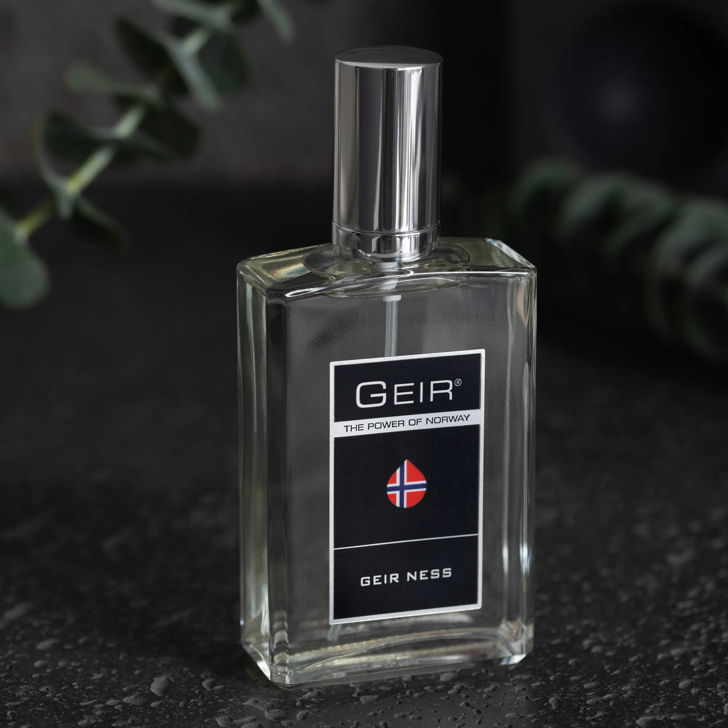 Geir for Men (3.4 oz)